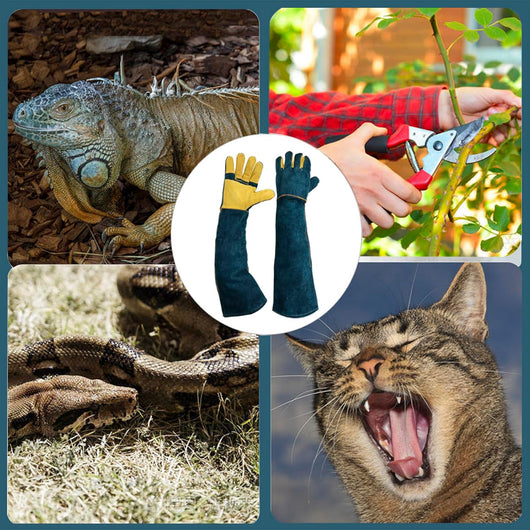 Animal Handling Gloves